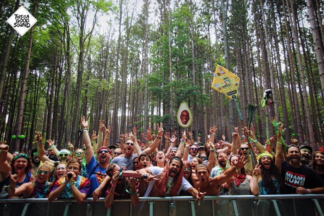 PP Forest stage 2016